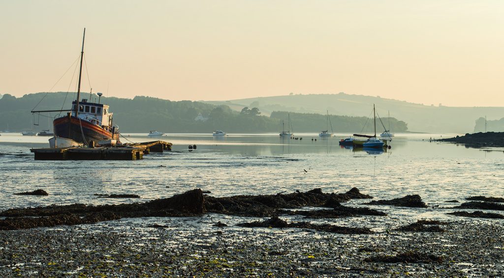 Galmpton Creek - 20th June 2017